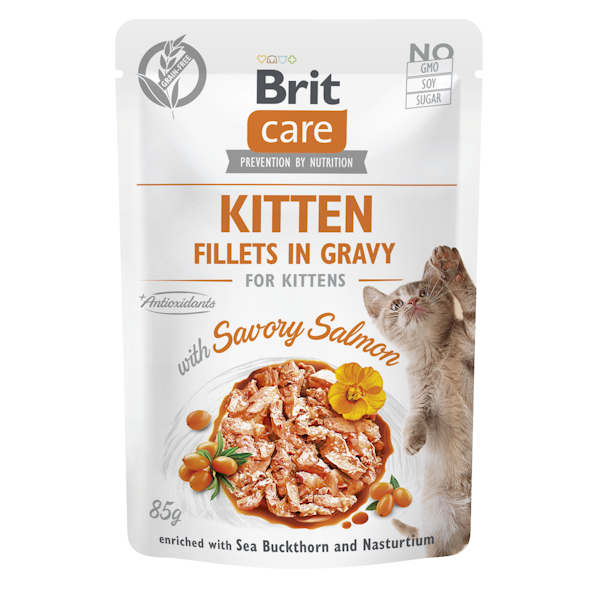 Brit Care Cat Pouches for Kitten with Savory Salmon 85G (24PZ)