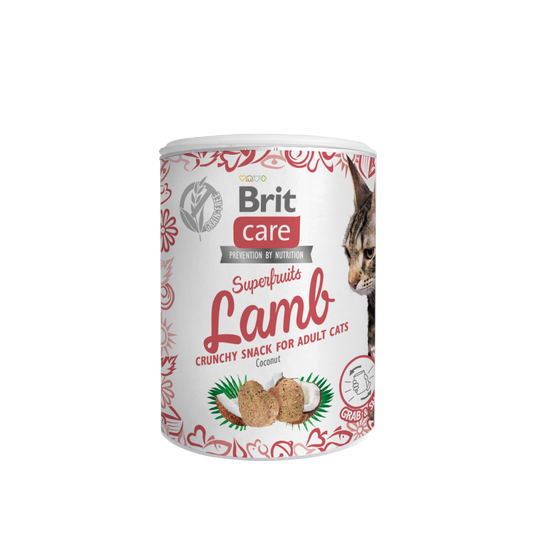 Brit Care Superfruits Lamb 100 g (6pz)
