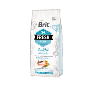 Brit Fresh Fish/Pumpkin - Adult Large 12 kg