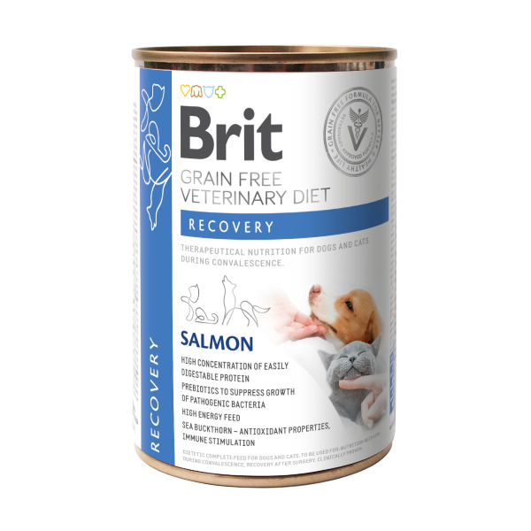 Brit Grain Free Veterinary diet RECOVERY Dog Umido 400g (6PZ)